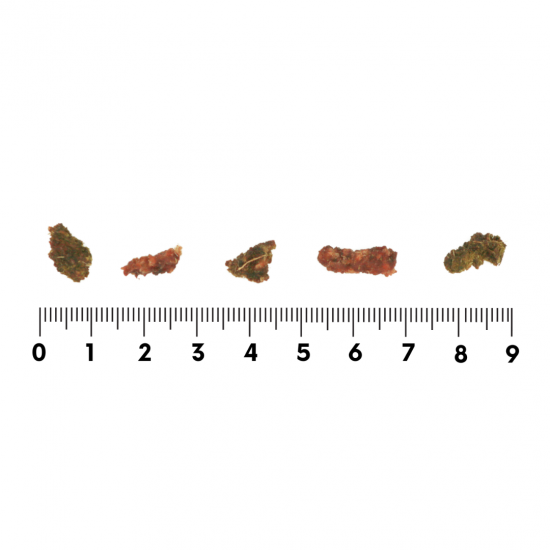 ROCCA エアドライ 鹿トライプ＆ミートビッツ 100g