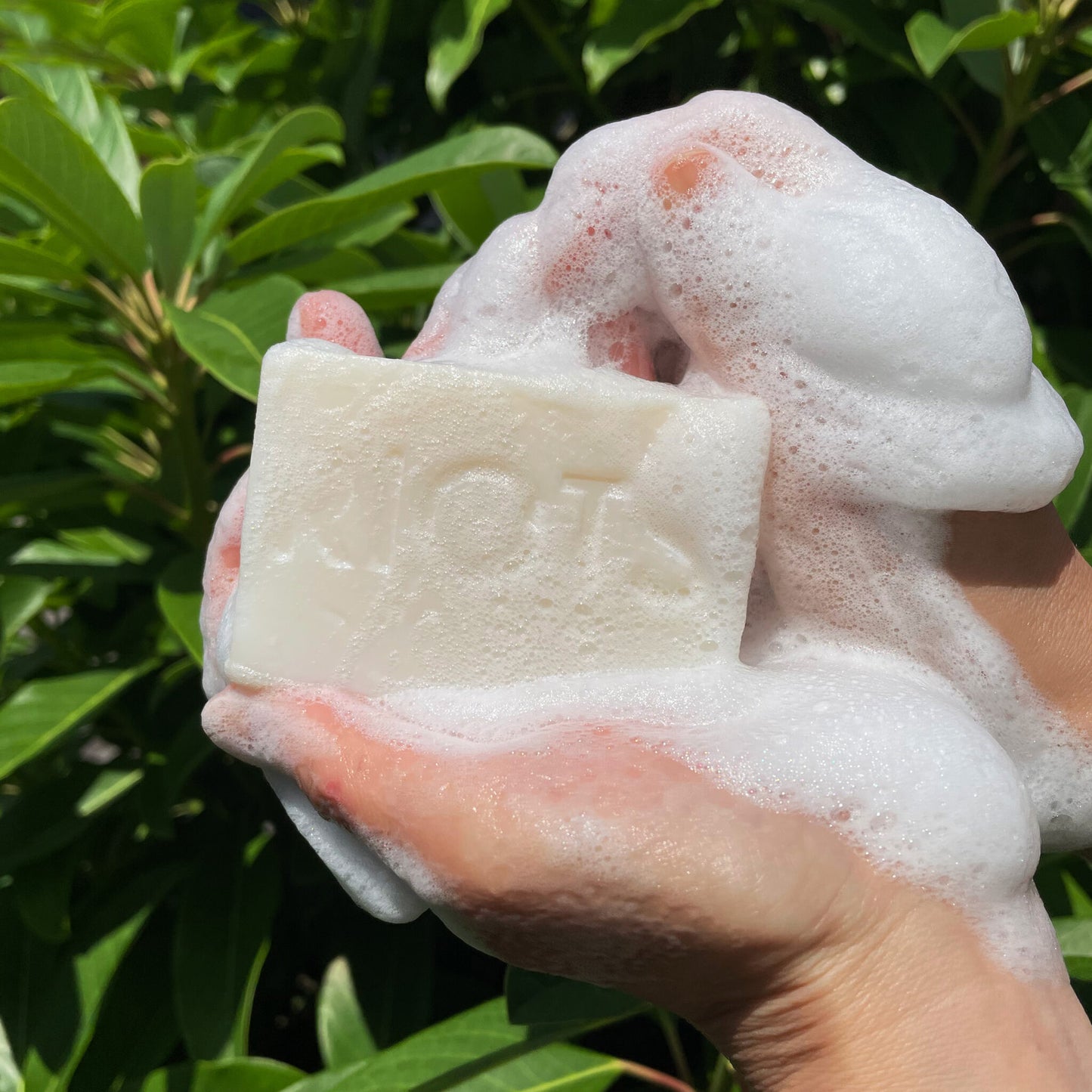 【現品限り50%OFF】RIOTS ナチュラルアースバーソープ (ペット用石鹸)　WHITE MUSK ホワイトムスク