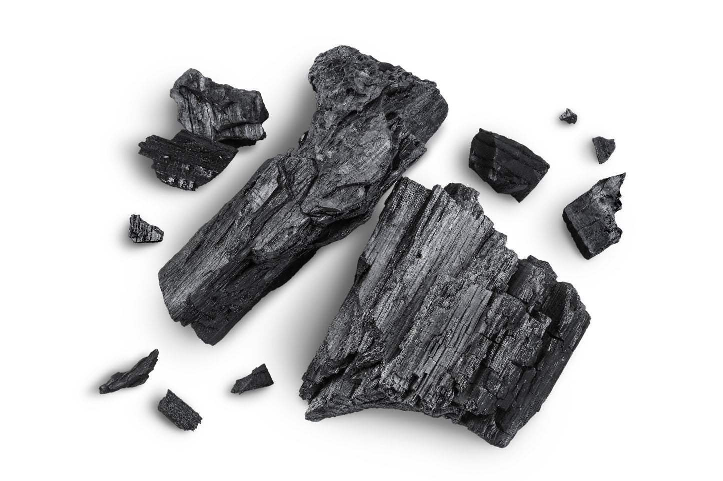 【現品限り50%OFF】RIOTS ナチュラルアースバーソープ (ペット用石鹸)　UNSCENTED ＋ CHARCOAL 無香料・炭