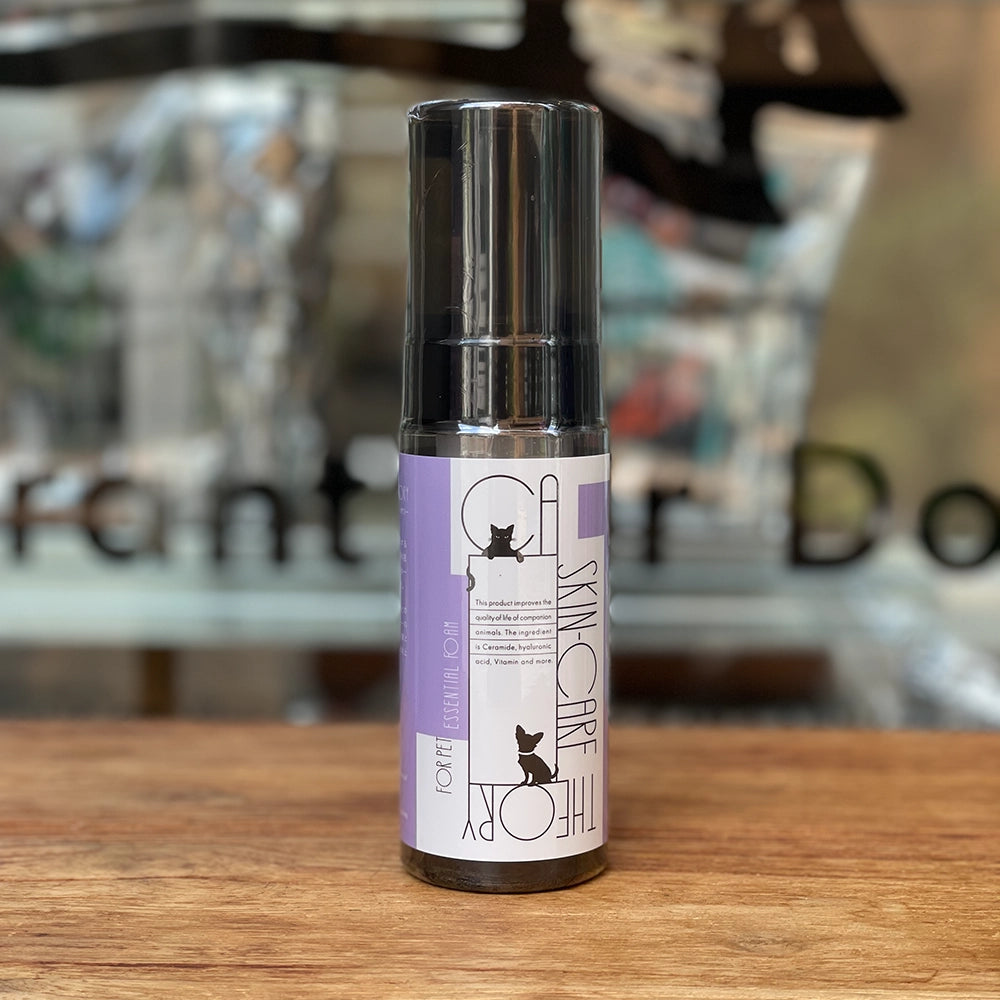 CA SKIN-CARE THEORY エッセンシャルフォーム / 150ml