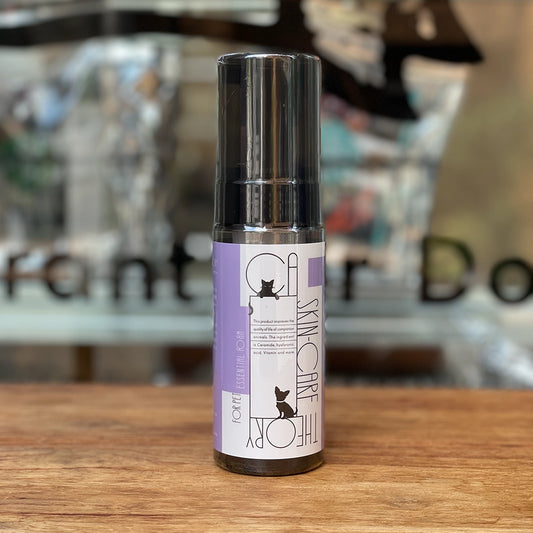 CA SKIN-CARE THEORY エッセンシャルフォーム / 150ml