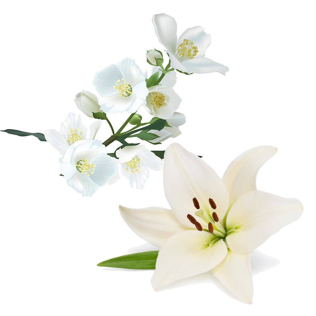 【現品限り50%OFF】RIOTS ナチュラルアースバーソープ (ペット用石鹸)　JASMINE ＆ LILY ジャスミン＆リリー