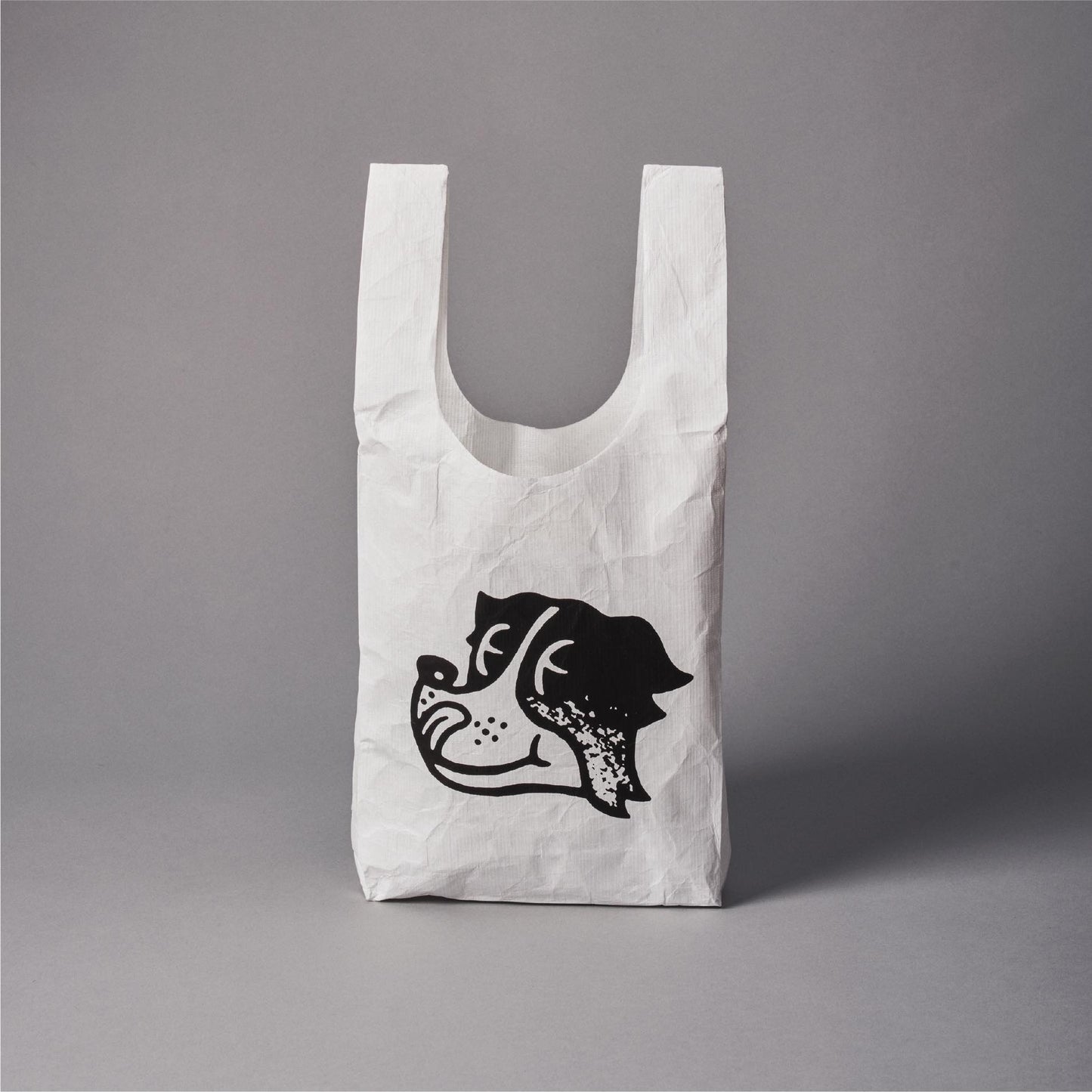 タイベックエコバック 小